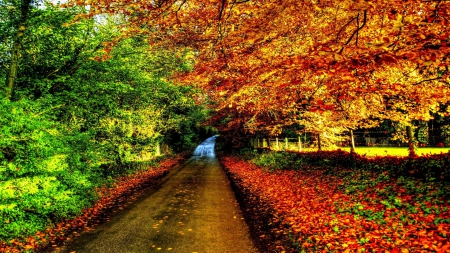 wonderful country road in autumn hdr - autumn, forest, leaves, hdr, colors, road