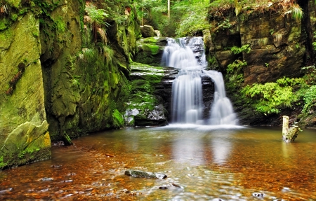 Forest waterfall - falling, trees, cascades, stream, greenery, waterfall, fall, forest, beautiful