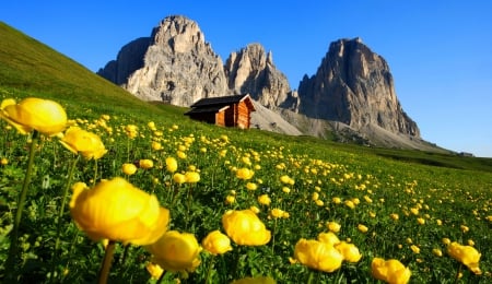 Mountain flowers - house, cabin, beautiful, slope, spring, lovely, mountain, gras, flowers, nature, cottage, sky, rocks