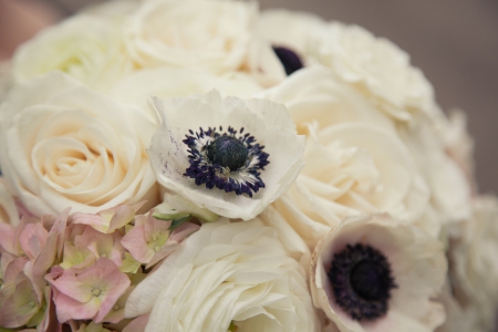 Ranunculus - flowers, white, White Ranunculus, white flowers, nature, white flower, Ranunculus, flower