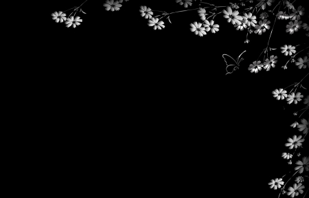 Flowers - white, butterfly, flowers, black