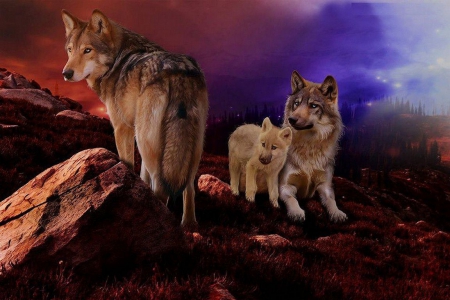 Family Wolf - nature, predators, artwork, pup, wolves