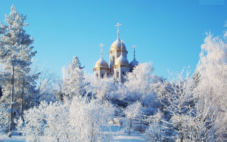 Church in Winter Wonderland - building, trees, ice, nature, snow