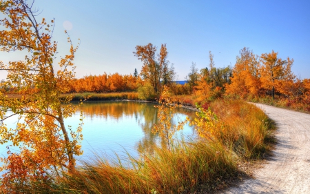 *** Autumn lake *** - lake, fall, trees, nature, autumn