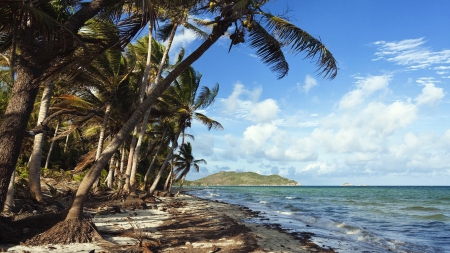 Iron Range National Park, Australia - morning, ocean, beach, islands, clouds, palms