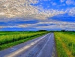 summer fields road hdr