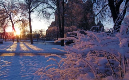 *** Winter *** - winter, trees, sunset, nature, snow