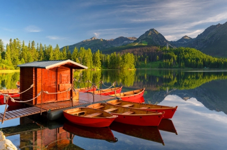 Tranquility - trees, beautiful, tranquil, forest, dock, reflection, mountain, calmness, boats, shore, serenity, lake, sky