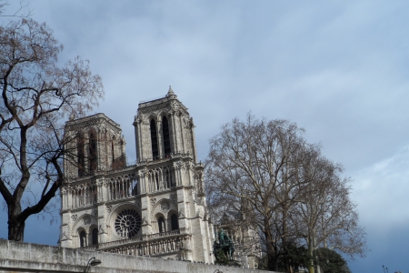 notredame cathedral - sky, paris, cathedral, notredame