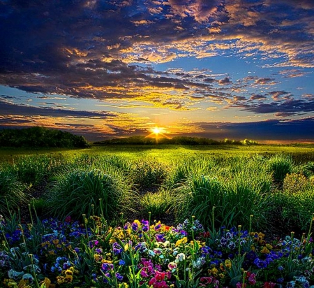 Let it be - green, colors, sunset, grass