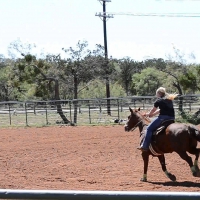 Rodeo Cowgirl