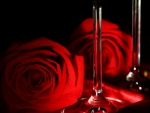 Red rose