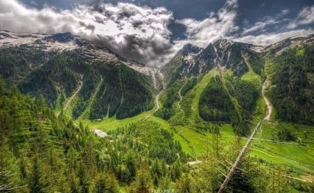 Our Planet - mountains, amazing, trees, earth