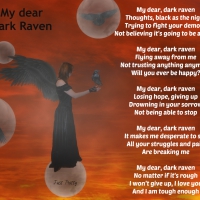 my dear dark raven