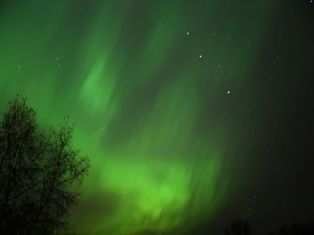 Northern Lights - The Night lit up by the Sun, Northern Lights, Aurora Borealis, Different colors of the Aurora Borealis