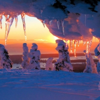 Icicles at sunset