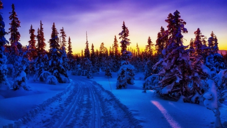 gorgeous blue winter at dawn hdr - forest, winter, road, dawn, blue, hdr