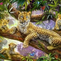 Leopard family