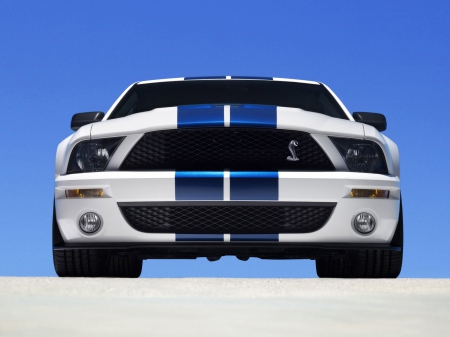 2007 Ford Shelby GT500 - gt500, vehicles, ford shelby, cars, ford, shelby, front view