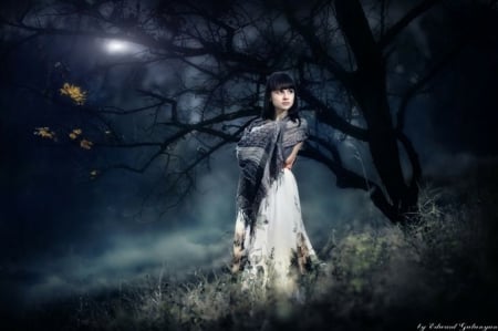 Midnight Beauty - landscape, beauty, midnight, woman