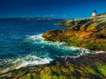 lighthouse on a moss covered rocky shore