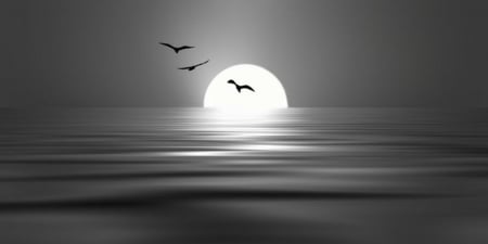 Repose Mind - landscape, repose mind, black and white, sea, nature, sun, birds