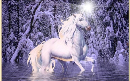 Unicorn - shines, bright, magic, horn