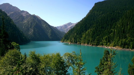 Summer Season - lakes, mountains, turquoise waters, forests, trees, green