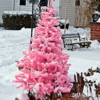 Pretty Pink Tree