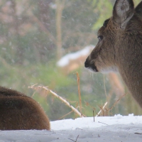 Mom Will Keep You Safe From Mother Nature