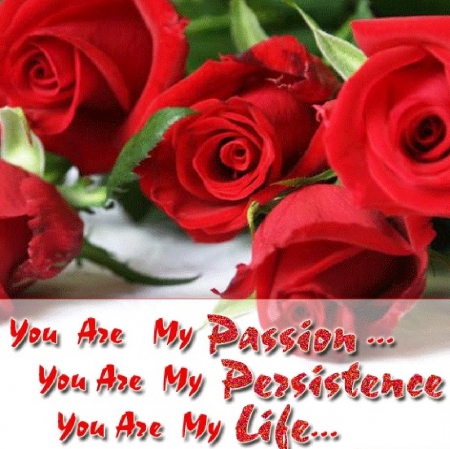 You Are - love, roses, flower, red