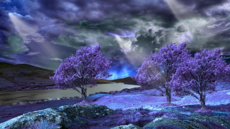 sunbeams on a purple landscape - clouds, trees, purple, sunbeams, lake, sky