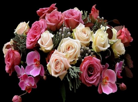 Orchids and roses - flowers, roses, white, orchids, pink