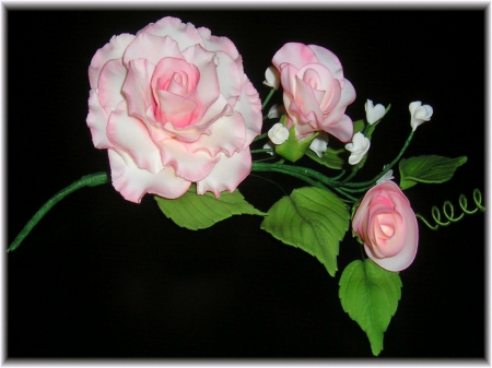 Roses on the vine - vine, roses, pink, leaves, black