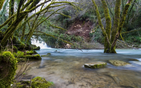 Waterfalls - trees, water, waterfalls, white, nature, forest, river, green, rock, smoooth