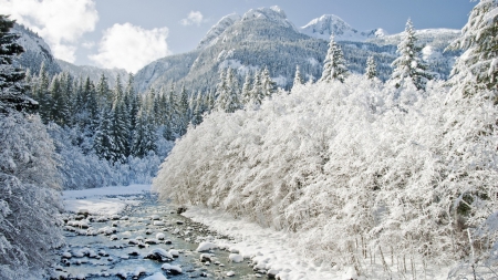 Winter Forest - winter, water, forest, mountain, river, frozen, white, nature, freeze, cold, day, sky