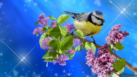 ~*~ Bird ~*~ - bird, flowers, nature, blue