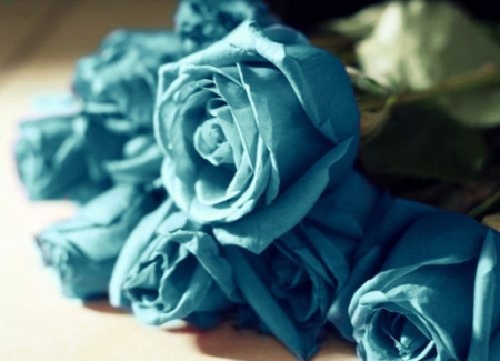 Blue Roses - roses, blue, beauty, bouquet, dreams