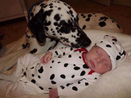 SPOTTED PAIR - DOG, BLACK, SPOTS, BABY