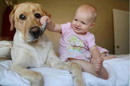 NICE TEETH - cute, girl, baby, dog