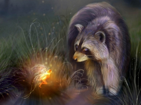 Meeting - fairy, raccoon, meeting, light, art