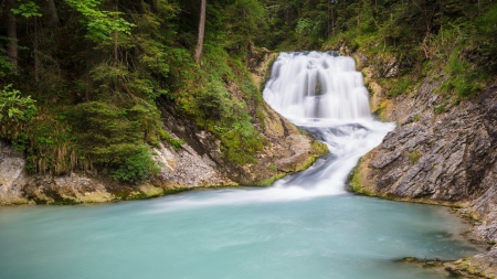 falls in a forest river - falls, forest, river, pool, rocks