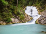 falls in a forest river