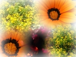 MY FLOWERS COLLAGE