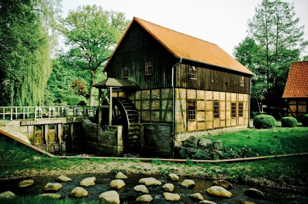 Old Watermill - nature, trees, house, stones, mill