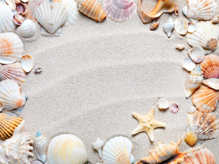 Seashells - seashells, starfish, nature, seashell, shells, shell, sand