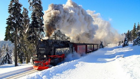 the german brocken railway in winter - steam, train, trees, winter, track