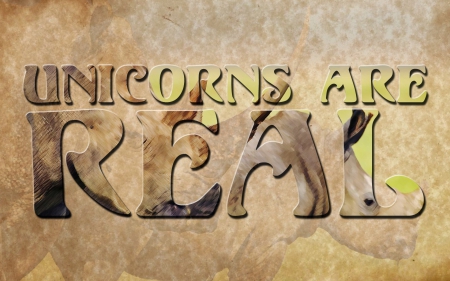 unicorns - african, asian, rhinoceros, grey