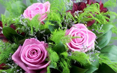 Pink roses - flowers, roses, petals, pink