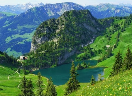 View of mountain lake - slope, freshness, trees, greenery, spring, rocks, view, emerald, green, cliffs, lake, landscape, mountain, hills, summer, peaks, lovely, beautiful, wildflowers